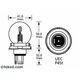 6 volt double filament head lamp�bulb, also known as 7950,�P45T41 G12.5 DUPLO 150H R2 ECE. Lucas 423